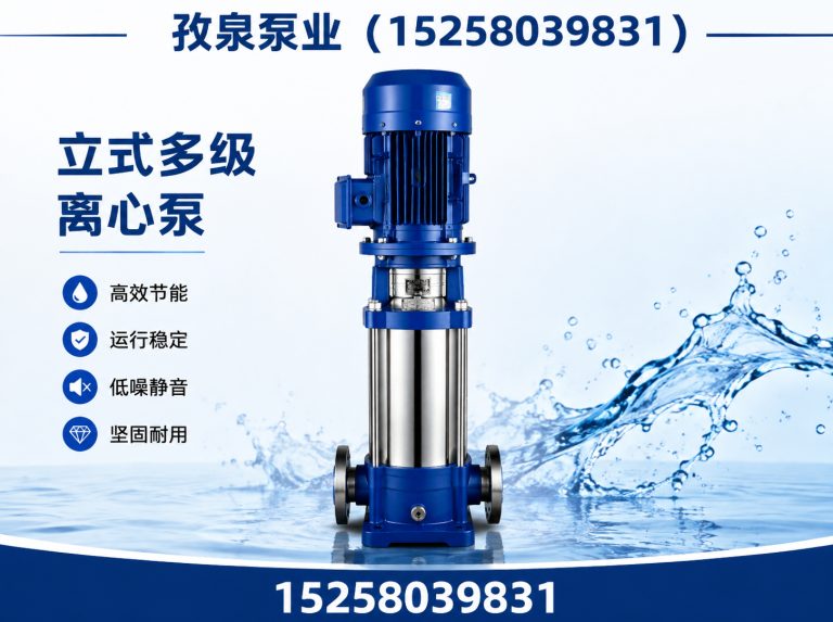 永嘉县立式多级离心泵展示图